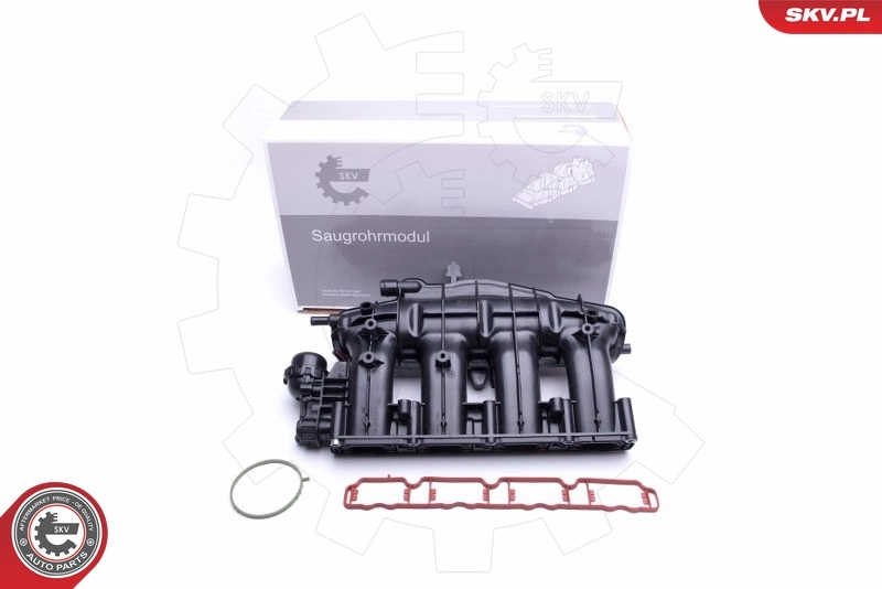 Intake Manifold Module